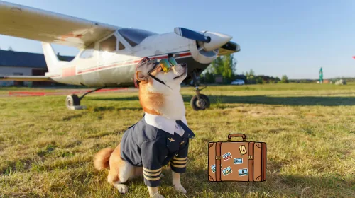 Shiba Inu in a pilot uniform and sunglasses in front of a small airplane