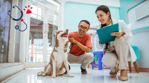 Vet with a clipboard and a smiling owner beside a husky in a bright clinic