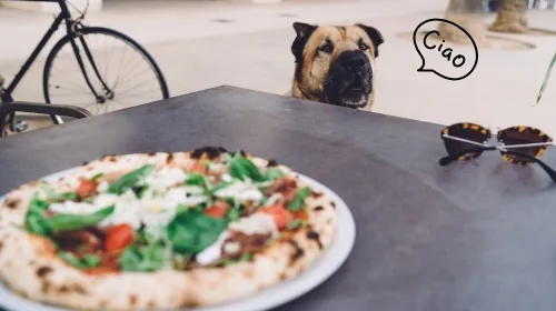 Dog peeking over the edge of a table with a pizza and sunglasses