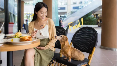 Woman having lunch at a café table while her dachshund sits on the chair beside her