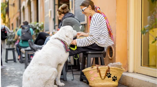 Woman seated at an outdoor Italian café with a large white dog by her side
