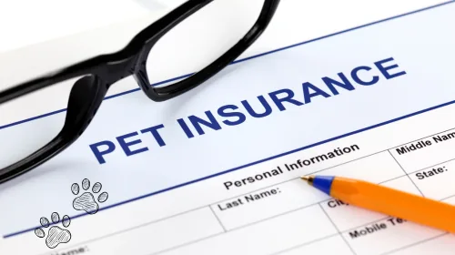Pet insurance form with reading glasses and a pen