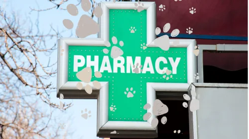 Green pharmacy cross sign decorated with paw prints