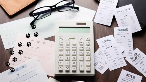 Receipts, a calculator and glasses scattered with paw prints