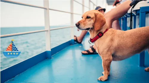 Dog standing on the blue deck of a ferry beside the railing