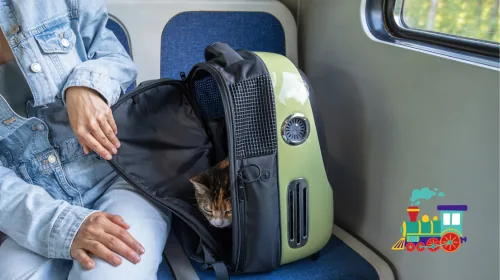 Cat peeking out of a backpack carrier held by a passenger on a train