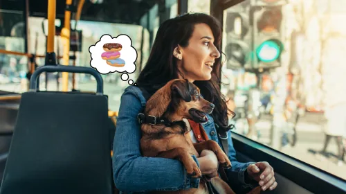 Woman holding a small dog while riding a city bus